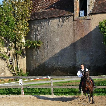 Chateau Des Noces Bazoges-en-Pareds Esterno foto