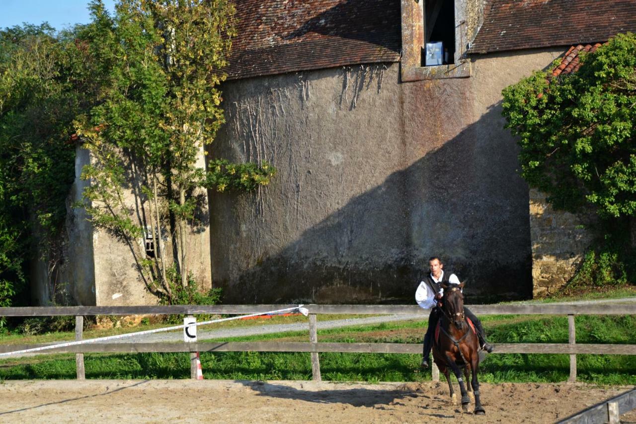 Chateau Des Noces Bazoges-en-Pareds Esterno foto